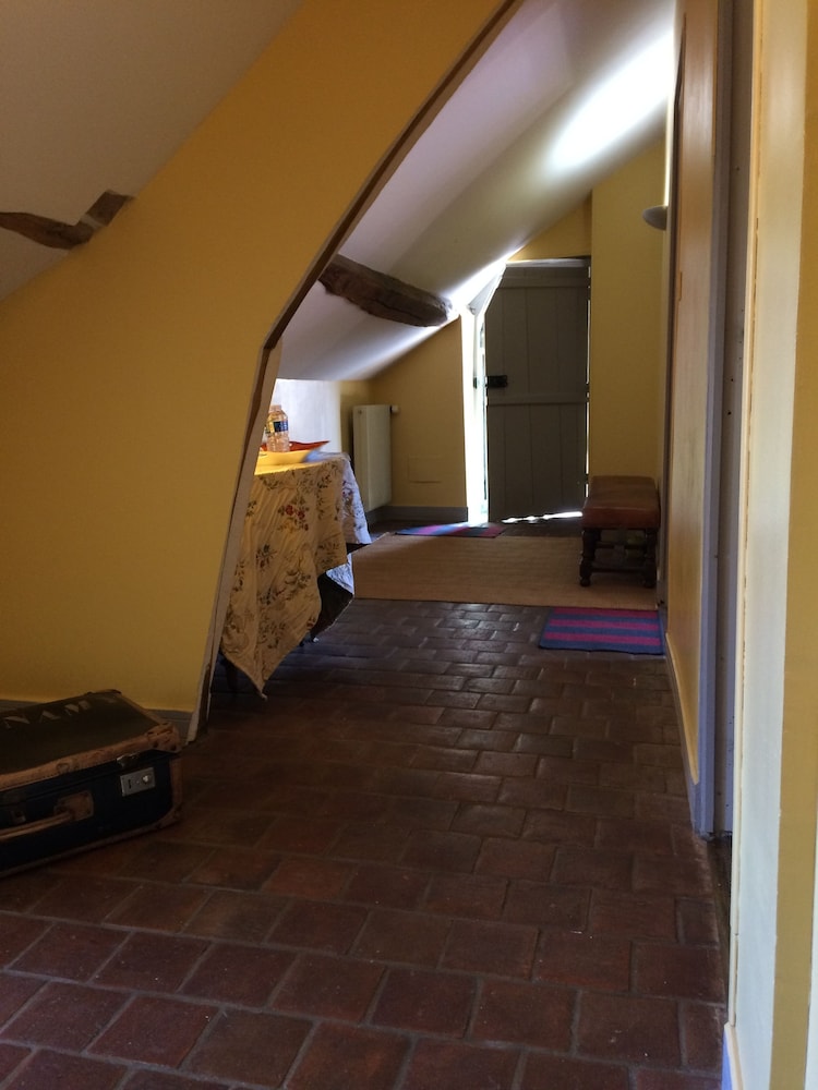 Suite (Jonquille) photo 3