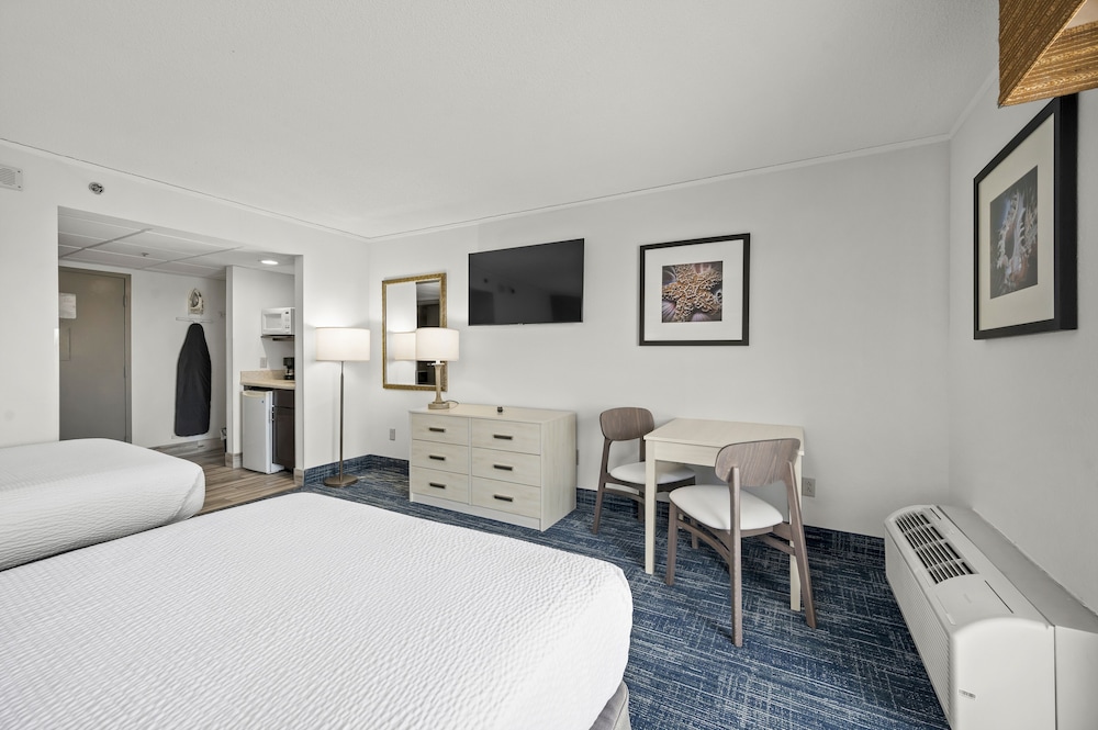 Single Room, 2 Double Beds, City View (ADA) photo 2