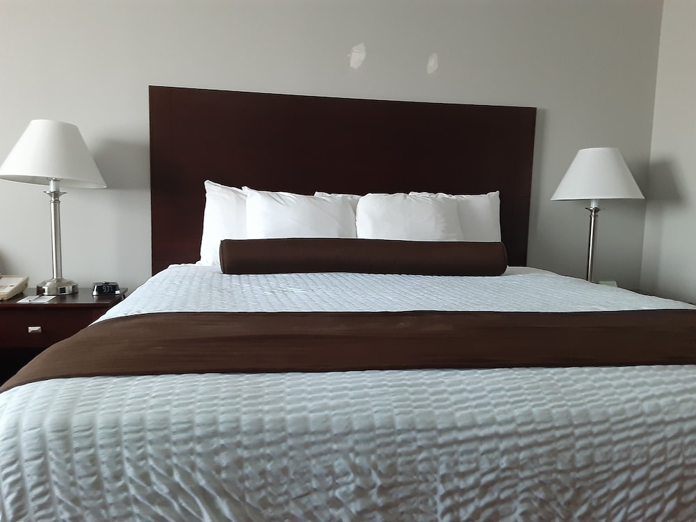 Suite, 1 King Bed With Whirlpool, Non Smoking photo 3