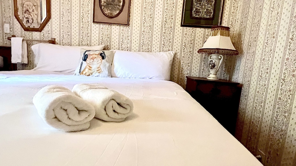 Traditional Single Room, 1 King Bed photo 2