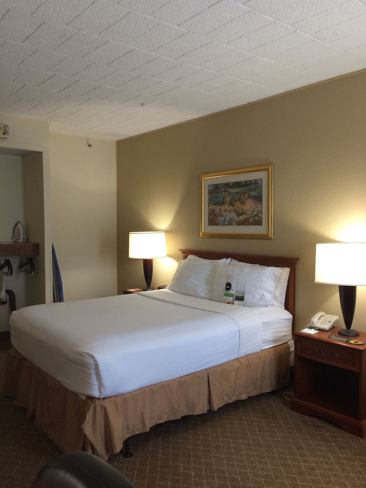 Standard Room, 1 King Bed, Accessible photo 3