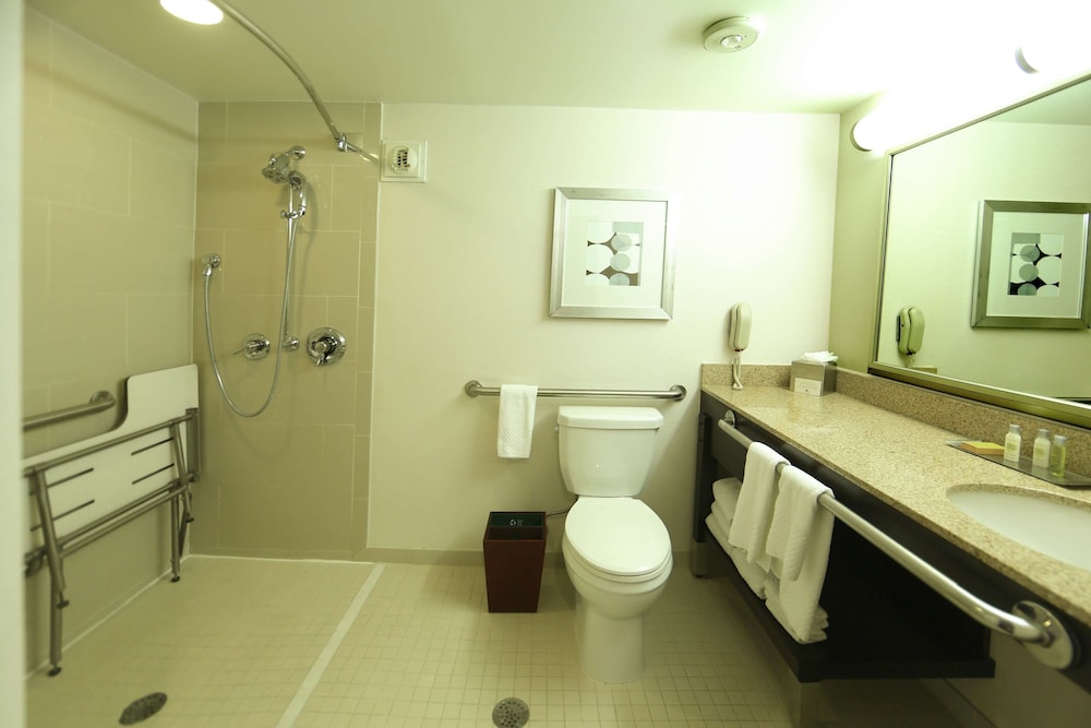 One King Bed, Non-Smoking, Accessible - Photo 8