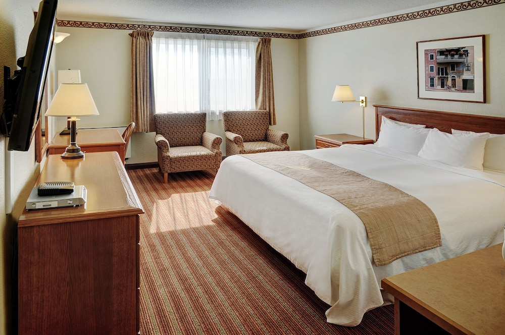 Traditional Single Room, 1 King Bed photo 3