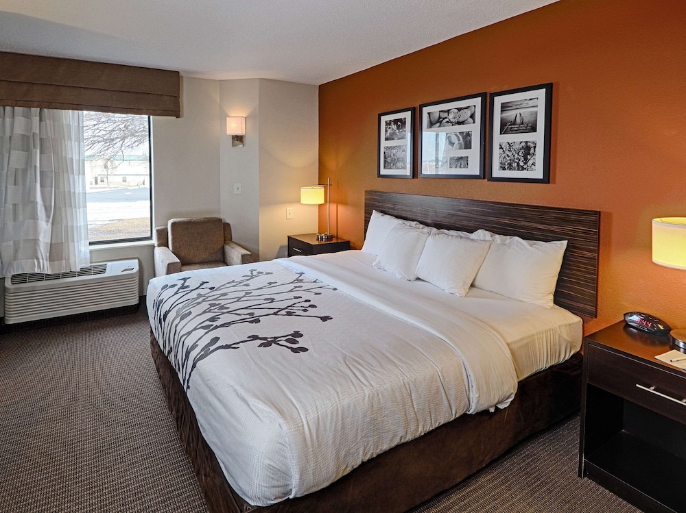 Suite, 1 King Bed with Sofa bed, Non Smoking - Photo 2