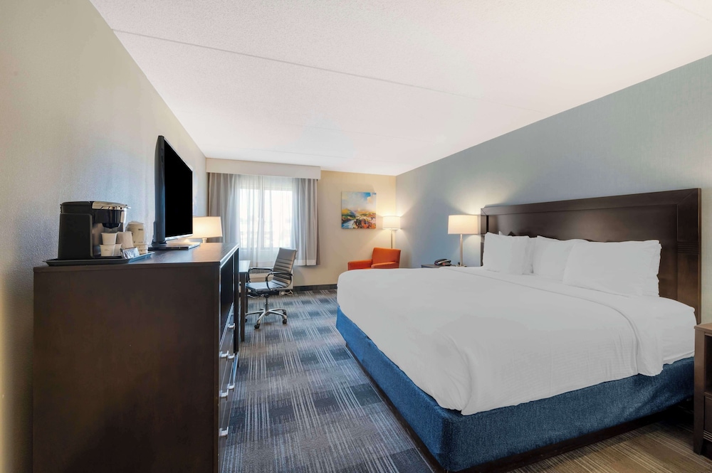 Standard Room, 1 King Bed, Accessible, Refrigerator & Microwave - Photo 3