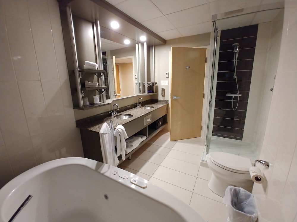 Suite, 1 King Bed - Photo 9