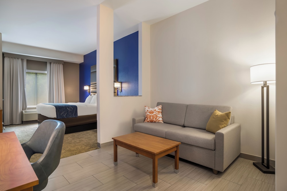 Suite, 1 King Bed with Sofa bed, Non Smoking photo 3