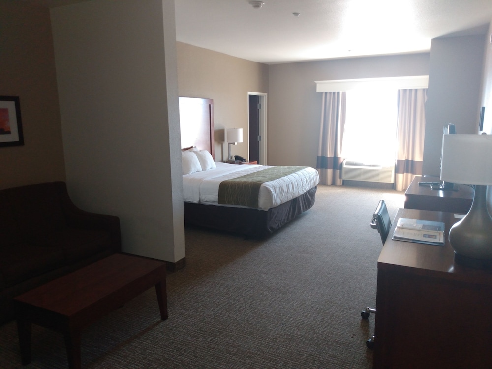 Suite, 1 King Bed with Sofa bed, Non Smoking (Efficiency) photo 2