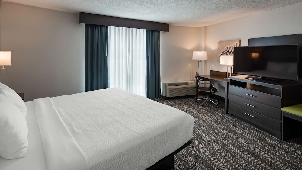 Standard Room, 1 King Bed, Non Smoking (Walk-in Shower;with Sofabed) - Photo 2