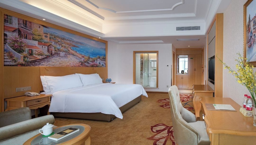 Superior Single Room, City View photo 2