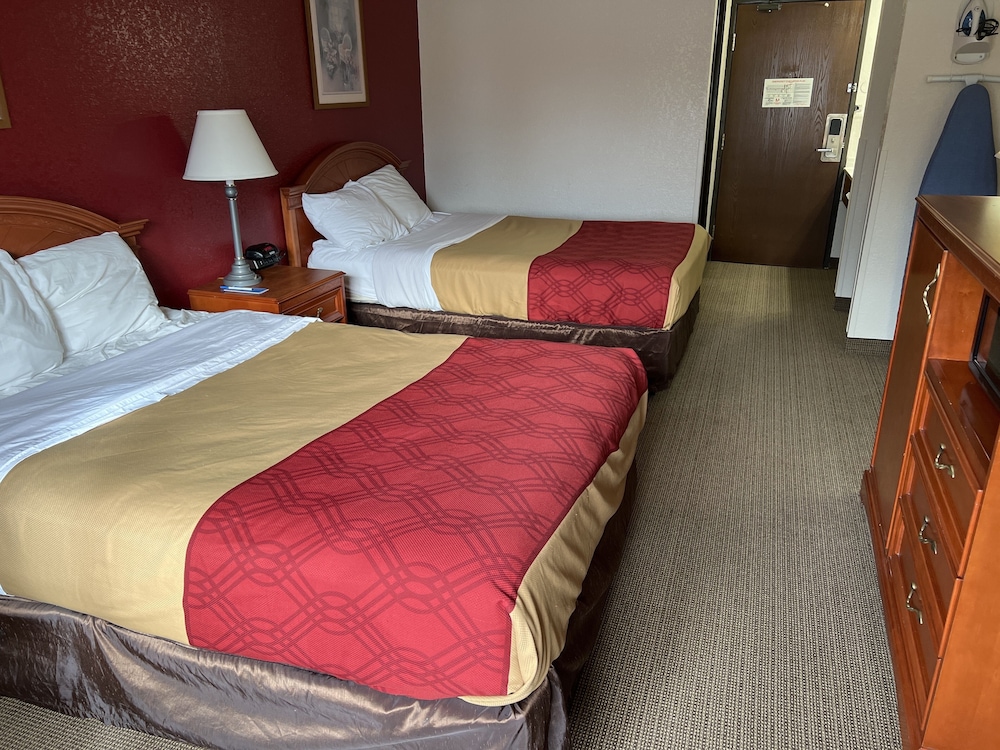 Basic Single Room