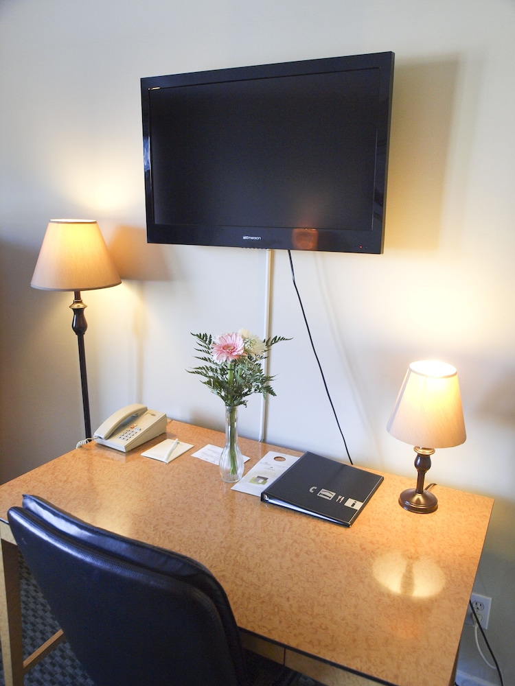 Studio, 1 Queen Bed