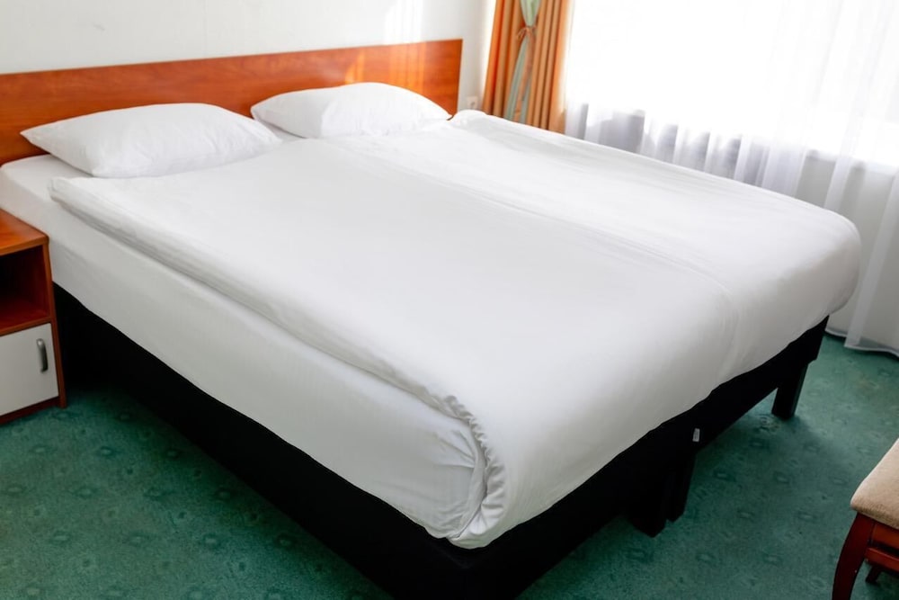 Business Double or Twin Room photo 1