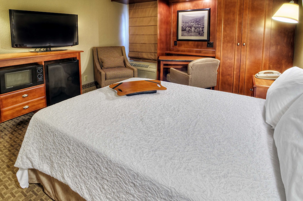 Room, 1 Queen Bed, Accessible (Mobility & Hearing, Roll-in Shower) - Photo 3