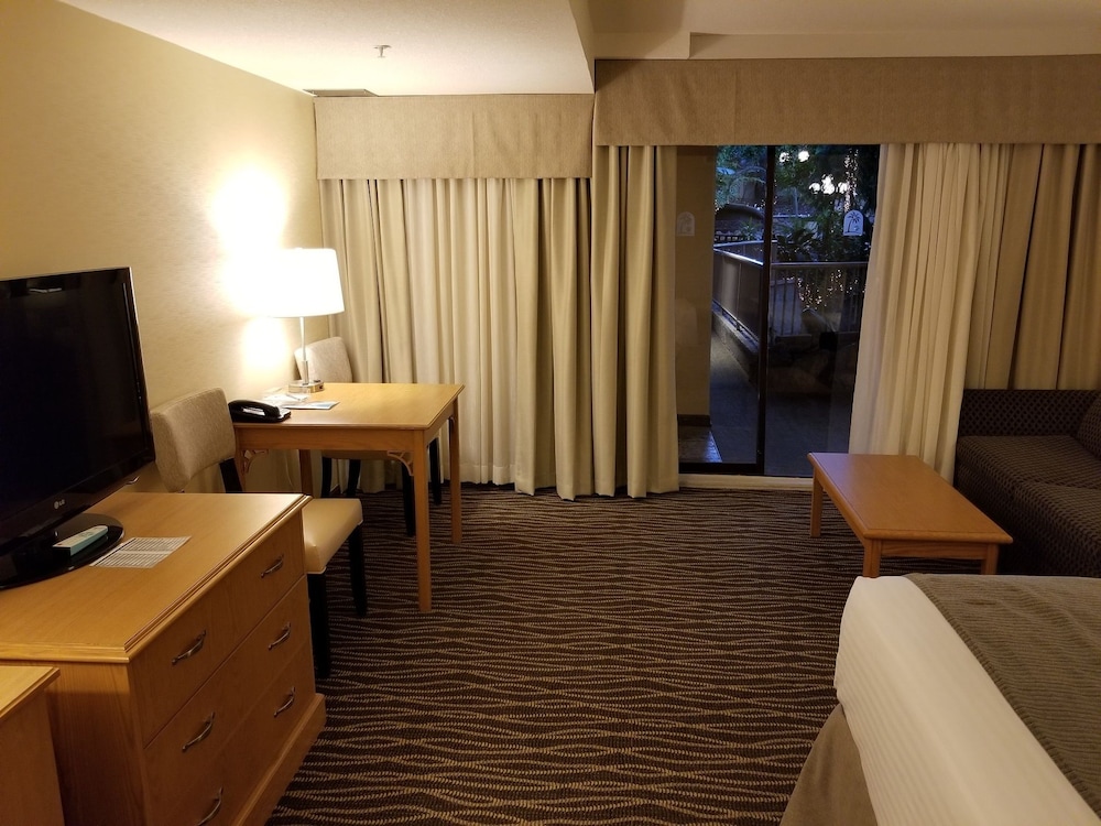Room, 1 Queen Bed with Sofa bed, Accessible - Photo 1