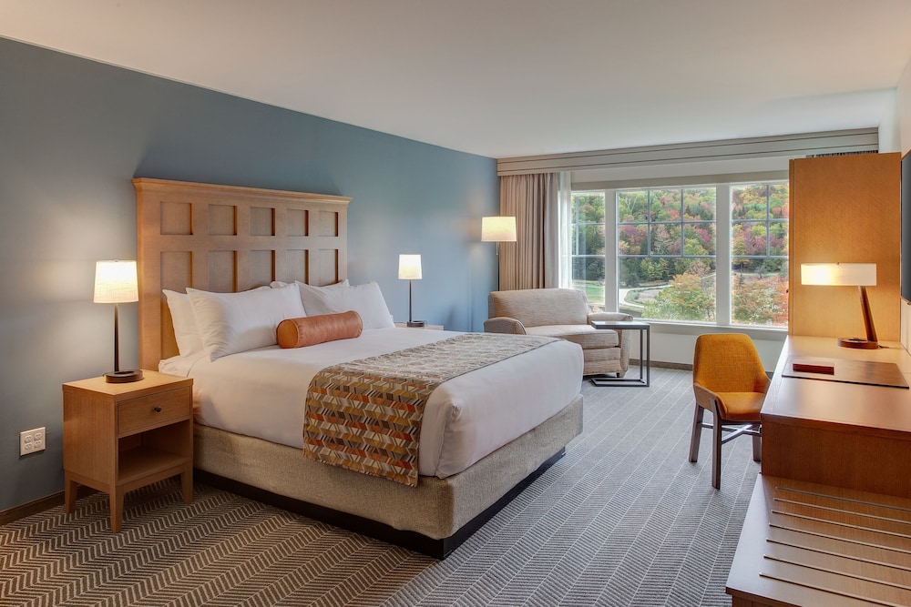 Deluxe Room, 1 King Bed, Mountain View (Mountain View King Room) photo 1