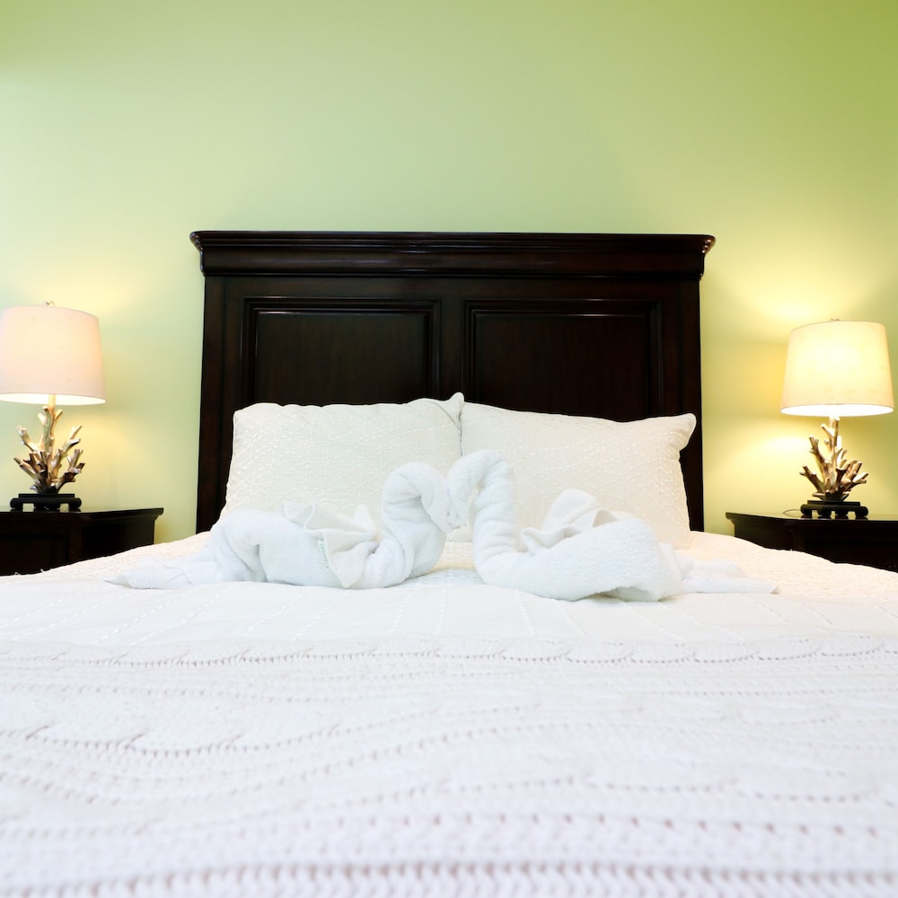Have a Dream Vacation at High Tide, Billede 58