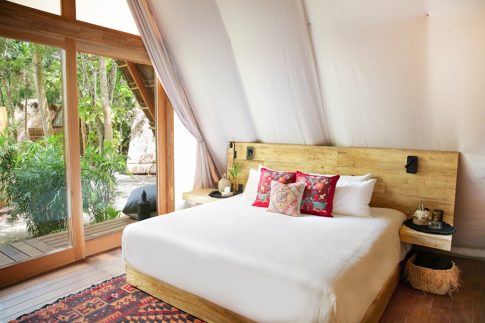 Room (Jungle) - Photo 5