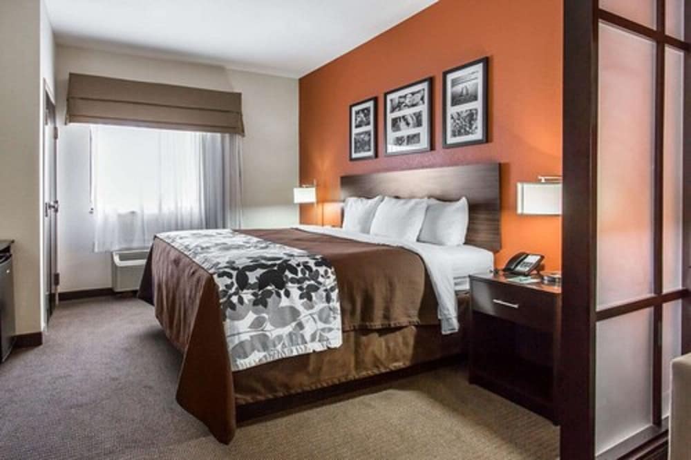 Suite, 1 King Bed, Non Smoking - Photo 2