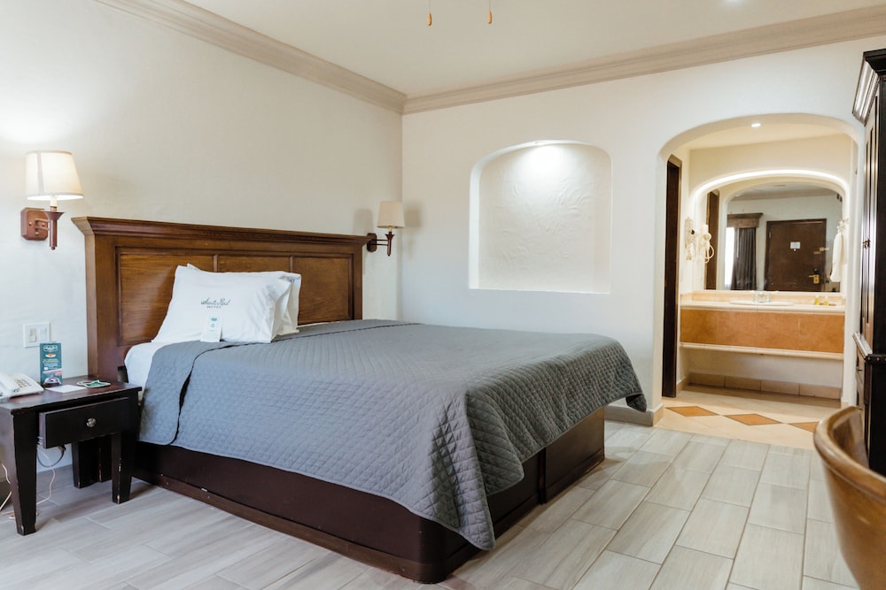 Habitacion Ejecutiva, 1 cama king