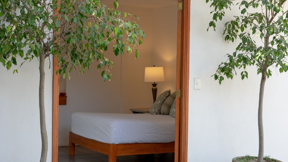 Superior Suite, Terrace, Hill View photo 3