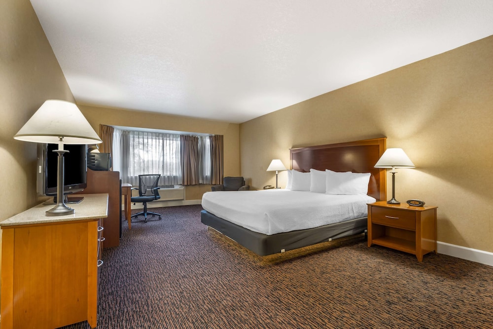 Business Room, 1 King Bed, Non Smoking, Refrigerator & Microwave - Photo 1