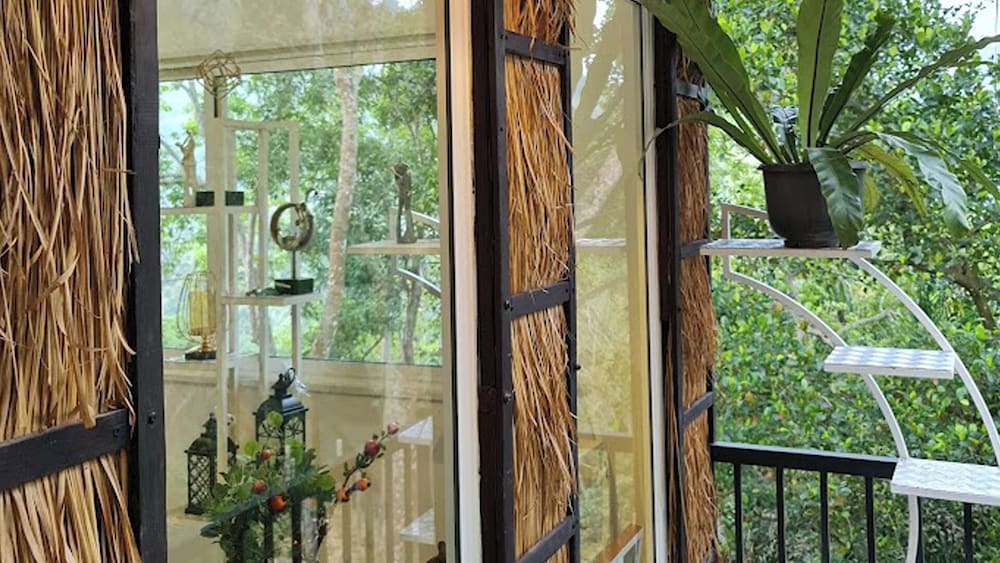 Bhagya - Single Tree-Top House photo 3