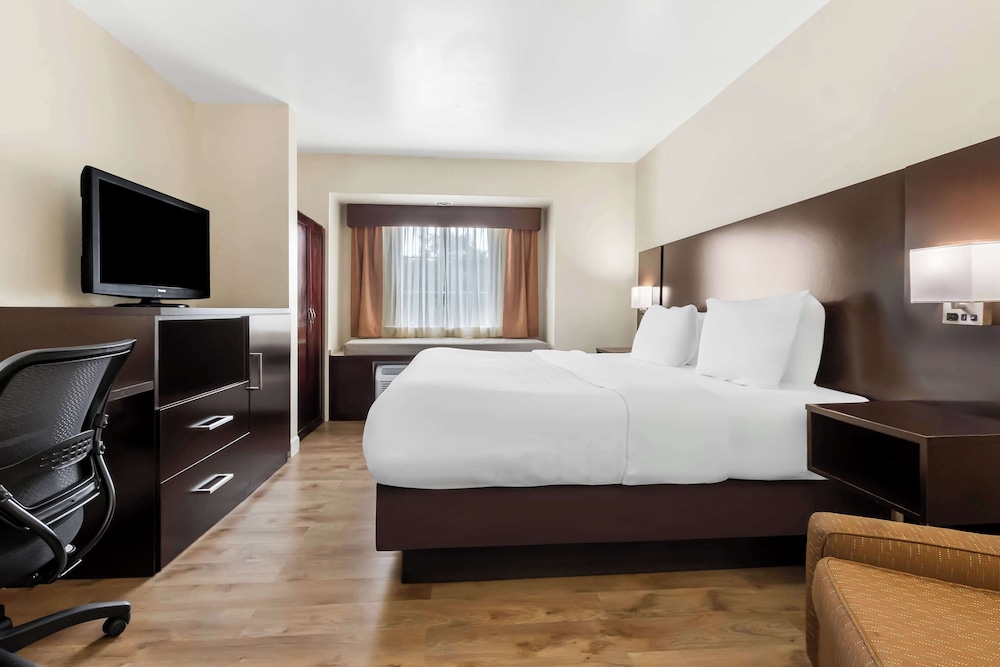 Standard Room, 1 King Bed, Accessible, Non Smoking - Photo 2