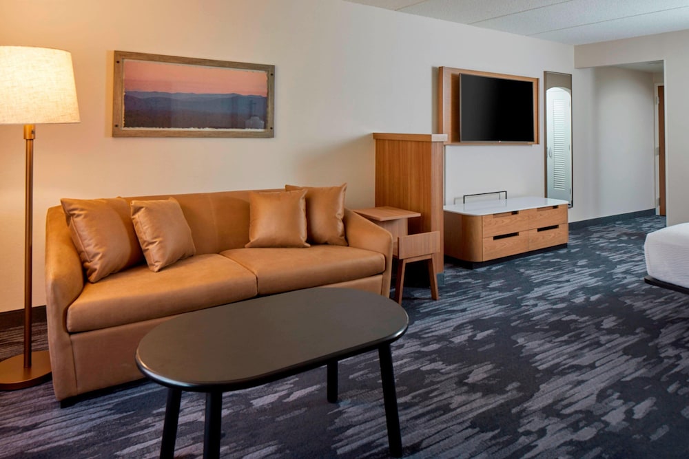 Suite, 1 King Bed with Sofa bed
