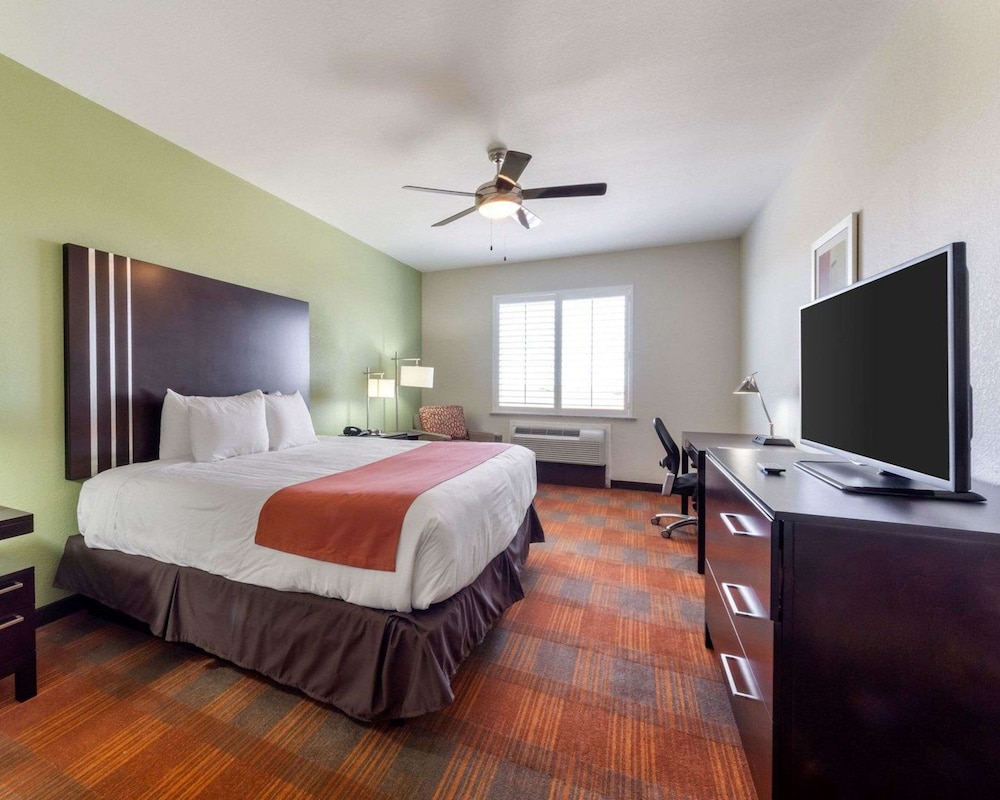 Room, 1 King Bed, Accessible, Non Smoking photo 1
