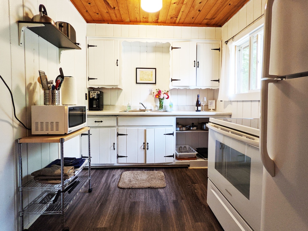 Walleye Cove - Cabin #7 | Forest View (Premium Amenities Included!) photo 2