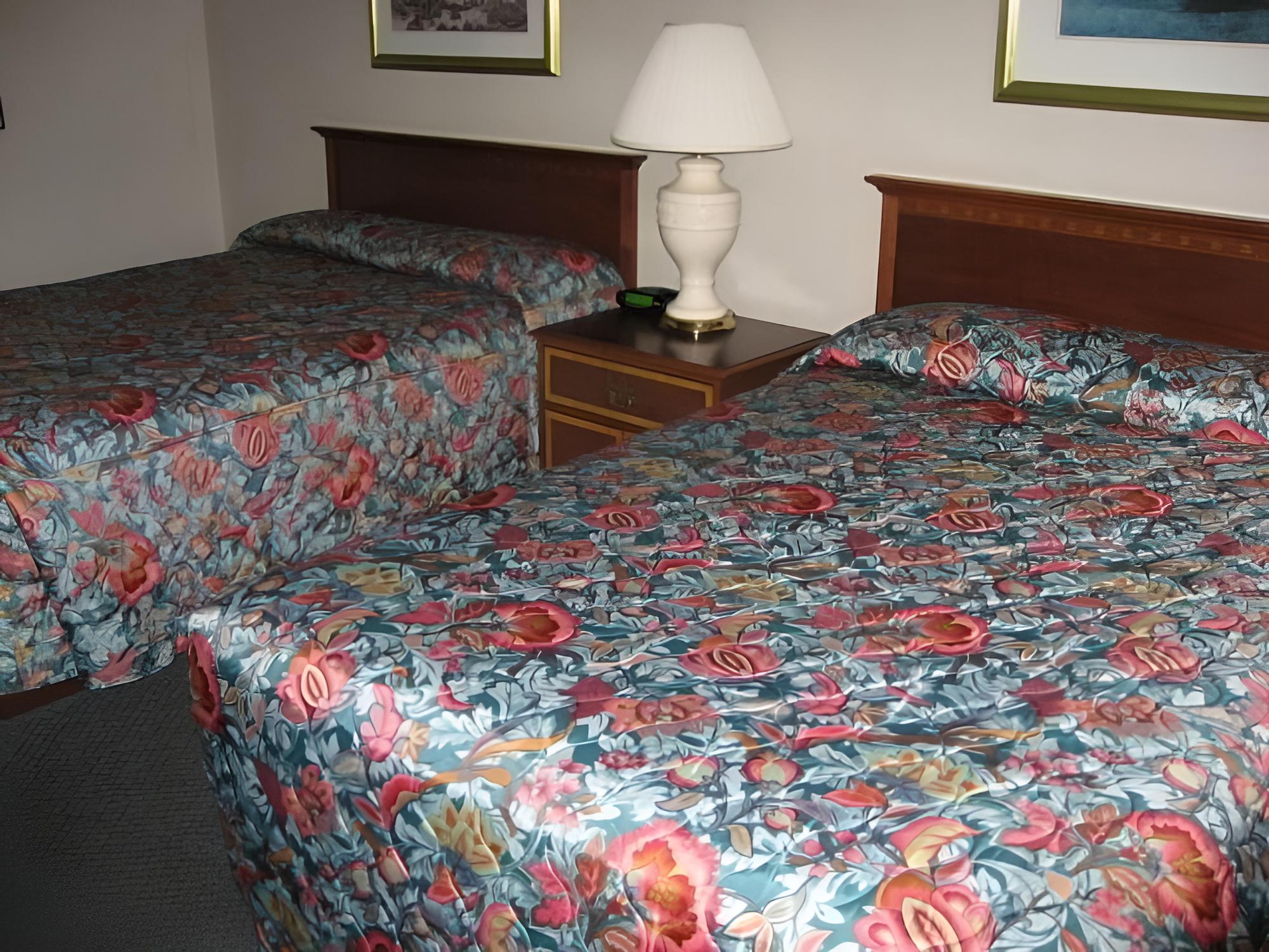 Standard Single Room, 2 Double Beds, Lake View photo 3