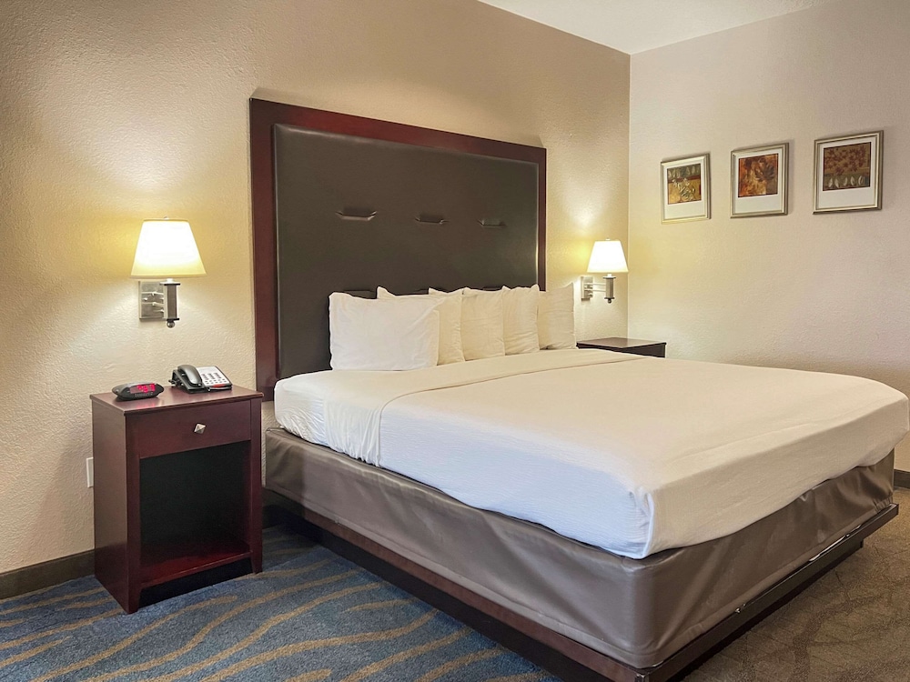 Standard Room, 1 King Bed, Smoking - Photo 1
