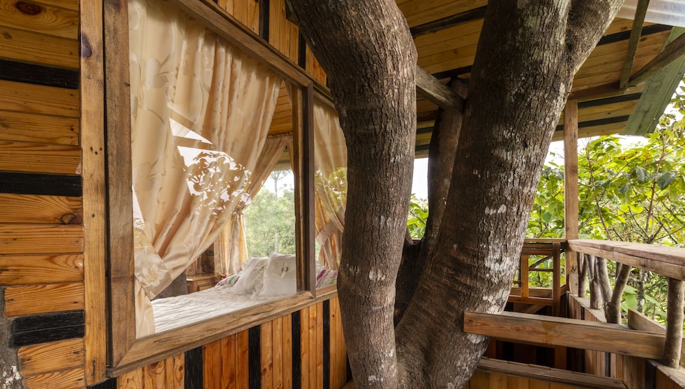 Tree House, 1 Double Bed