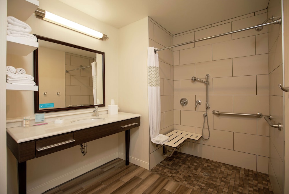Studio, 1 King Bed, Accessible (Roll In Shower) photo 2