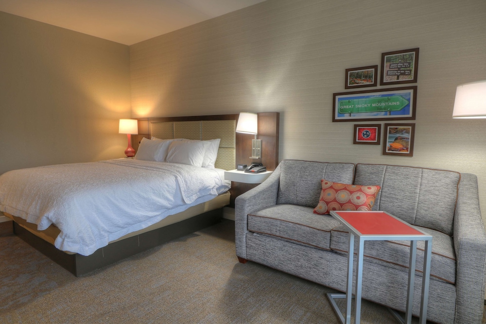 Room, 1 King Bed, Accessible (Roll-In Shower) - Photo 1