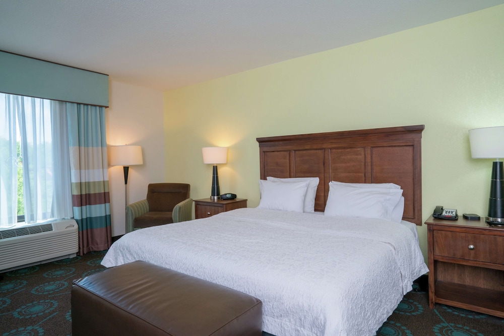 One King Bed - Photo 5
