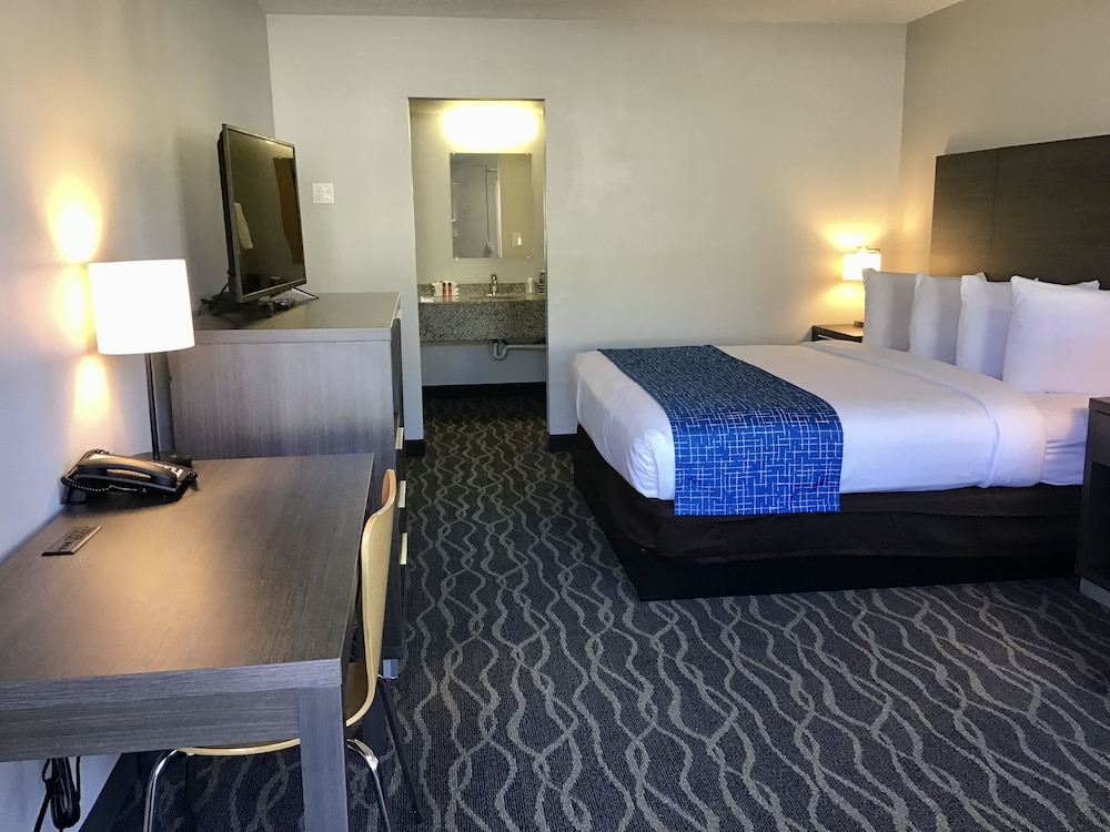 Studio Suite, 1 King Bed, Non Smoking photo 1