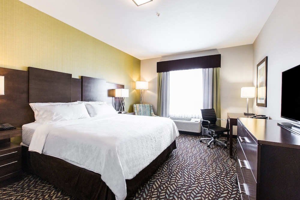 Suite, 1 King Bed with Sofa bed (Cooktop)