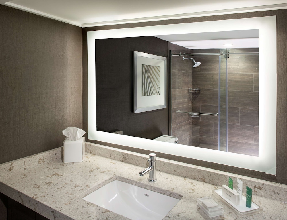 Suite, 1 King Bed, Allergy Friendly - Photo 10