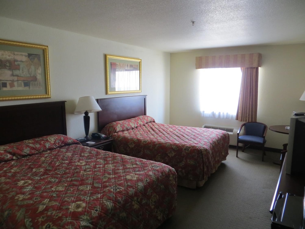 Basic Single Room, 1 King Bed - Photo 3