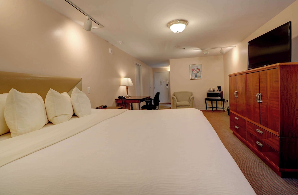 Presidential Room with 1 King Bed