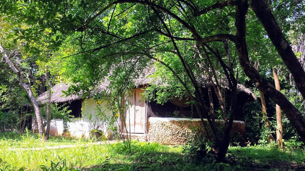 Classic Chalet, Ensuite, Garden View photo 3