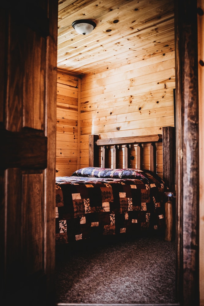Premium Cabin photo 1