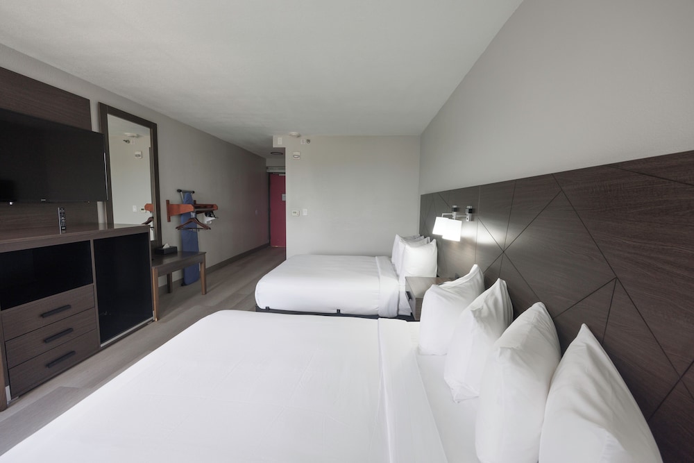 Standard Room, 2 Queen Beds, Accessible Bathtub photo 1