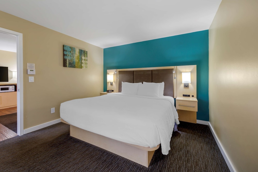 Suite, 1 King Bed, Accessible, Non Smoking (Walk-in Shower) - Photo 4