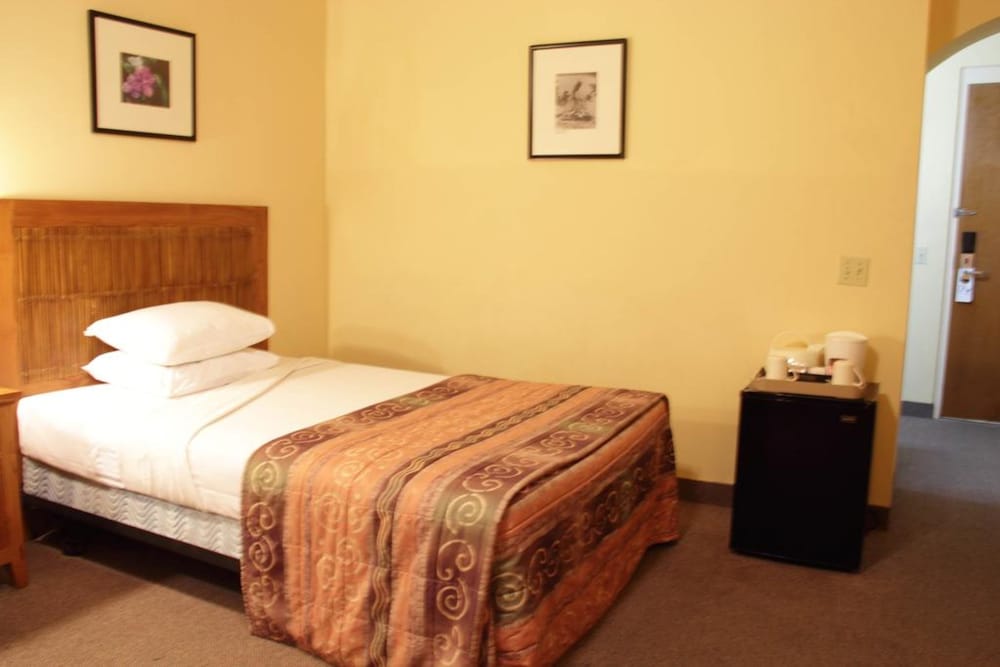Deluxe Room photo 3