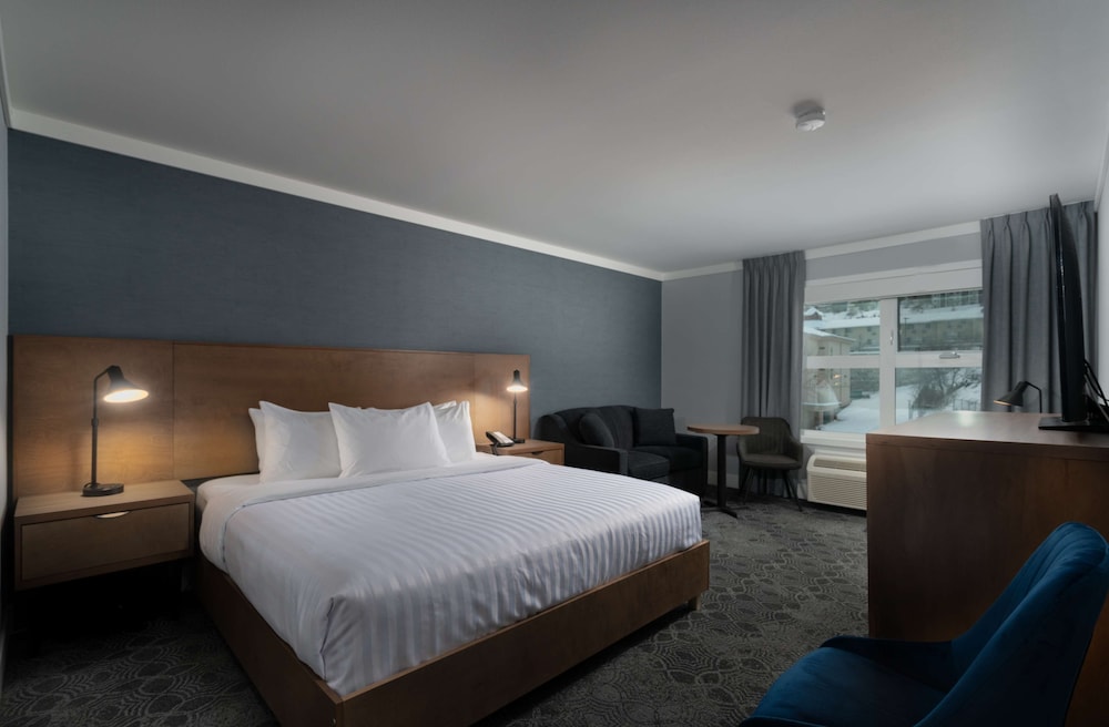 Standard Room, 1 King Bed, Non Smoking, Kitchenette (Pet Friendly) photo 3