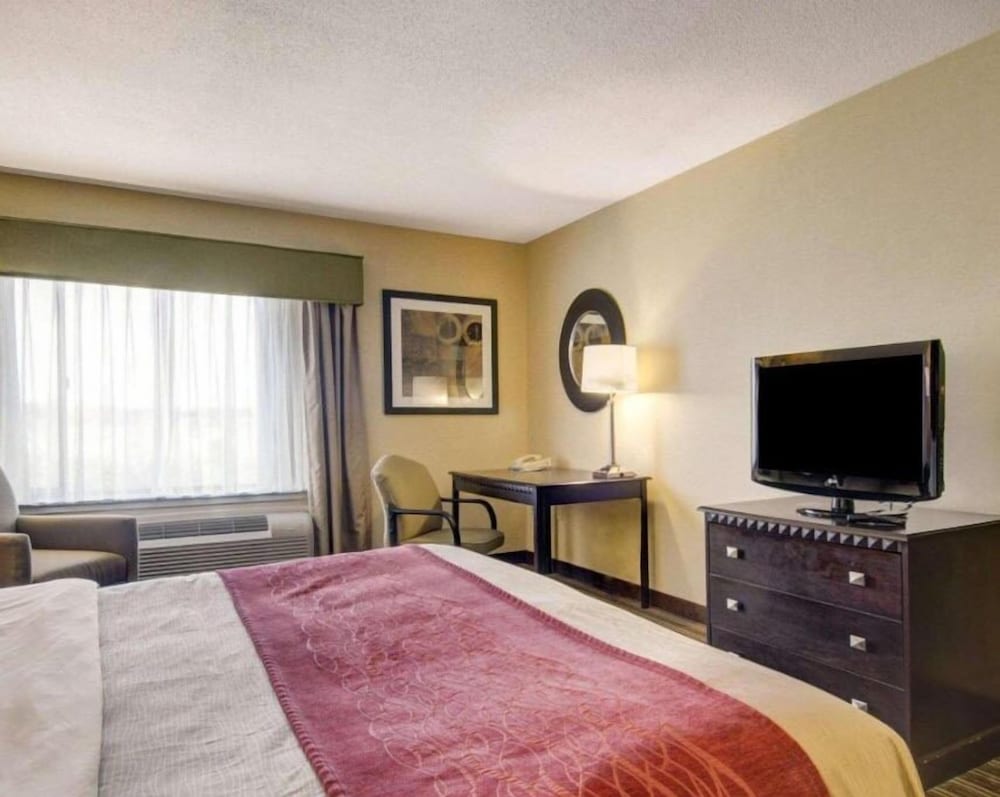 1 King Bed Non Smoking photo 2