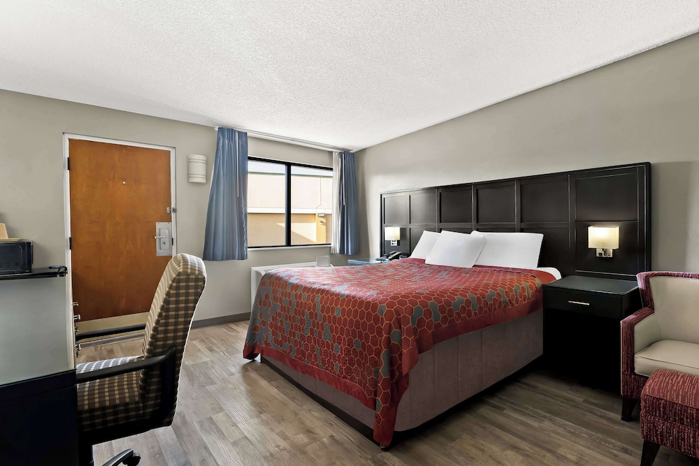 Room, 1 King Bed